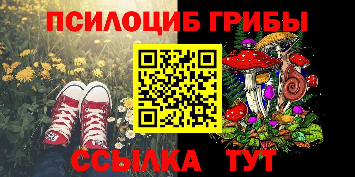 Псилоцибиновые грибы MAGIC MUSHROOMS Нижний Тагил