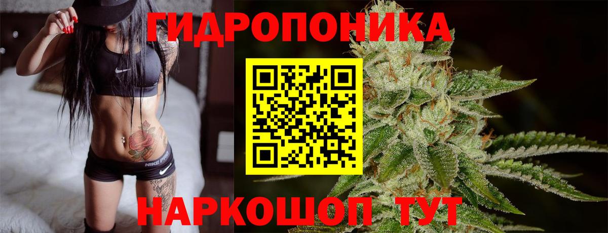 Марихуана AK-47  Конопля гибрид  Вход с VPN  Конопля Amnesia  Нижний Тагил 